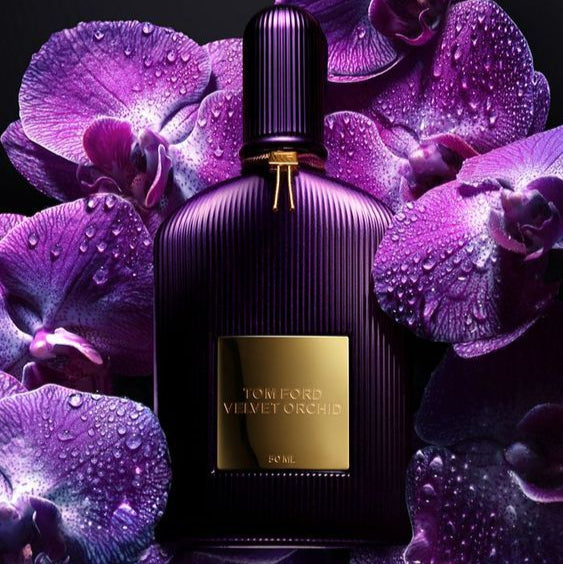 Velvet Orchid EDP 100 ML