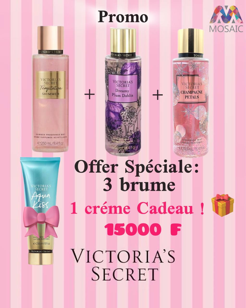 PROMO (6) 3 brume +1 tube