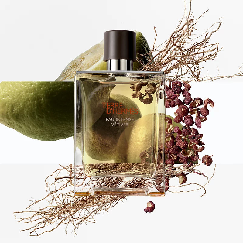 KD PARIS Terre d'Hermès 50 ML EDP