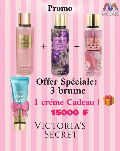 PROMO (6) 3 brume +1 tube