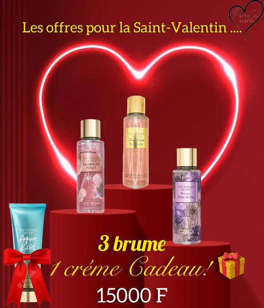 PROMO (6) 3 brume +1 tube